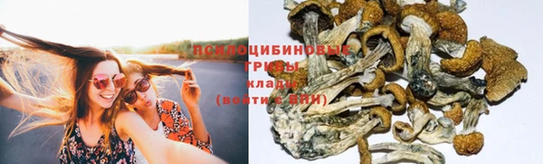 spice Алексин