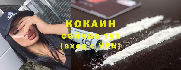 spice Алексин