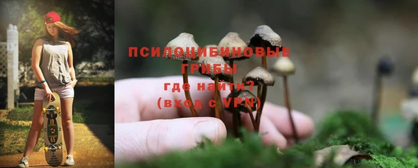 метамфетамин Алексеевка