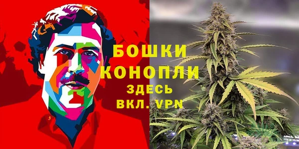 spice Алексин