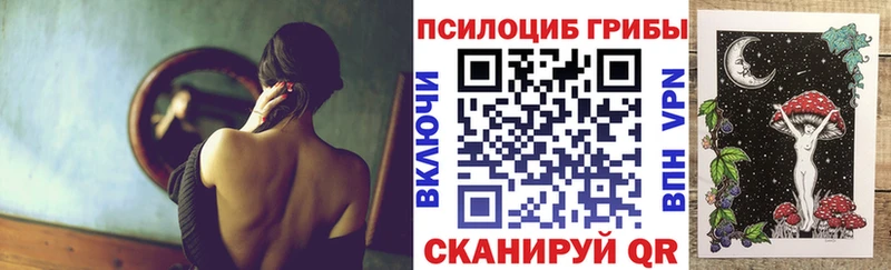 Галлюциногенные грибы Psilocybe  Амурск 